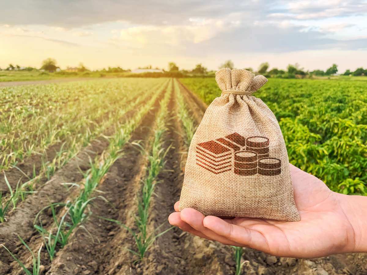 Produce Pay嘗試扮演「守門人」（Gatekeeper）與「媒合者」（Intermediator）的角色，讓農民能迅速取得銷售農作物後的資金，降低整個交易過程中的不確定性。圖片來源：Shutterstock